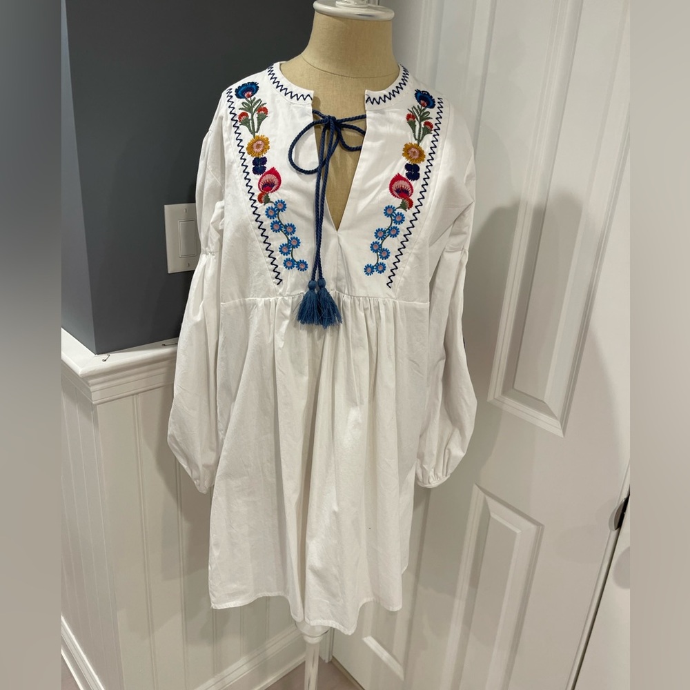 Haute Rogue Embroidered Dress